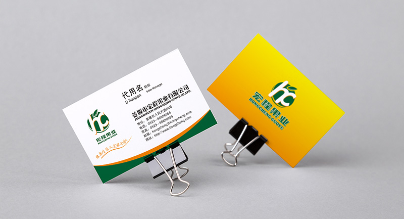 水果零售業(yè)高端VI設(shè)計 宏程果業(yè)名片設(shè)計