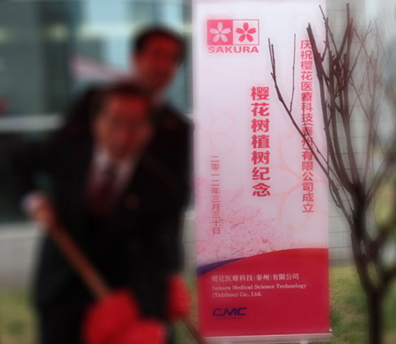 藥城櫻花醫(yī)療易拉寶設計